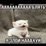 Аʙᥲᴛᥲρ᧐чκᥙ💜🖤💚