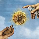 Crypto Cos