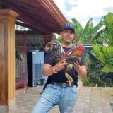 Hacienda Rodriguez gallos de pelea