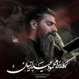 کربلایی محمود عیدانیان