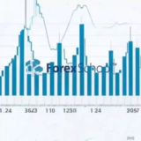 Forex Trading School