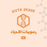 رسومات الاحياء