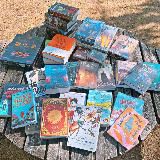 Книжный голландец