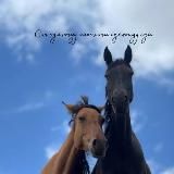 kursanali_s