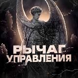 Мудрый кот