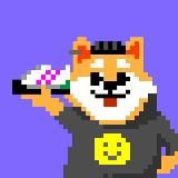 Shiba Store