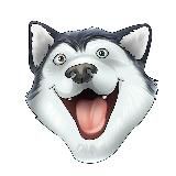 Hasty4🐾