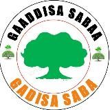 GAADDISA SABAA
