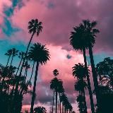 🏖juicymusic🌴