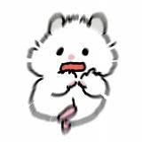 小哒的朋友圈