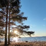 In the middle of Ленобласть