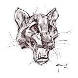 KARTINOCHKI🐆
