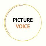 Picture 🎑 Voice 🗣