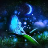 👁Quiet night🌃