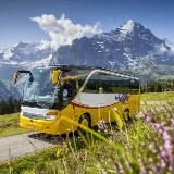 Selena travel Туры из Краснодара