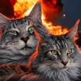 МАТЬ КОТОВ