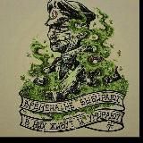 Канал Военных Новостей