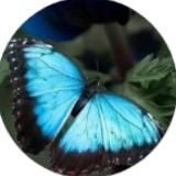 🦋🍃En Armonía