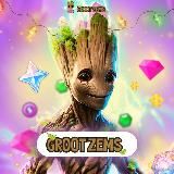 GROOT ZeMS