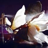 Parfume Dreams💖