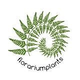 Florariumplants Флорариумплантс