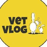 VetVlog(ВетВлог) Ветеринарная ОНКОЛОГИЯ и не только👨🏻⚕️