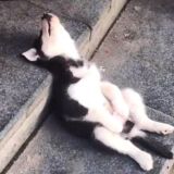 人事摆烂群🤺