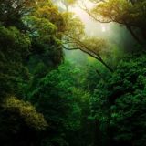 Nature Landscape Animal Photography Videos - TikTok Backup by AppleEditing [Mountains / Glaciers / Oceans / Switzerland]