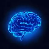ACCENDI IL CERVELLO 🧠
