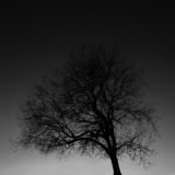 Dyval_69