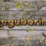Beg'uborim