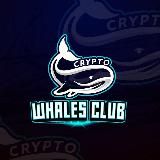 Whales Club - News