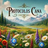 Protocolos CANA
