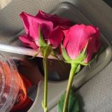زاد الخيـــــر🌺
