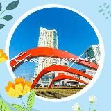 КРАСНОГОРСК.НОВОСТИ