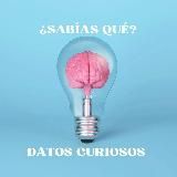 💡🤔¿Sabías qué? Datos Curiosos