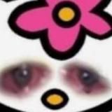 Hikerumin ✟ 18+