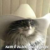 I Was Once, Possibly, Maybe, Perhaps A Cowboy King