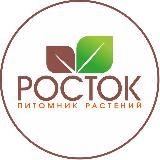 Питомник Росток. Саженцы
