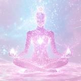 LIGHTSEED COMMUNITY