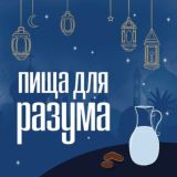 Пища Для Разума