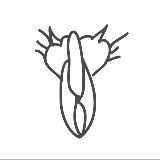 bab.zine