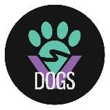Furry Valley Dogs