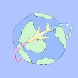 FAR FROM HOME