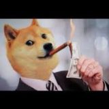 Free Doge Everyday (for sell)