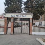 Школа 225