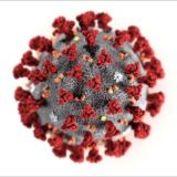 Corona VIRUS GRUPPASI