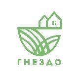 Гнездо