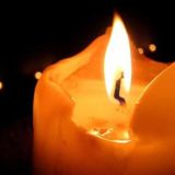 Luz 🕯 Grupo