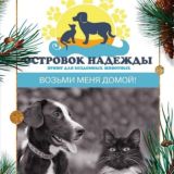 ОТДЫХ В СПБ, ЛО и ближайших окрестностях 😉